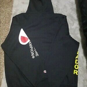 champion hoodie behind the label